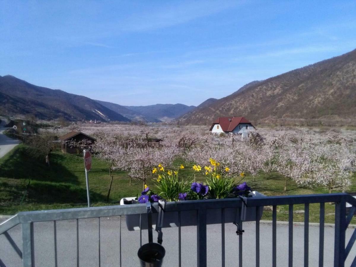 Hotel Gasthof Zur Venus Aggsbach Exteriér fotografie